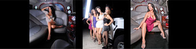 Boston Limousine rental